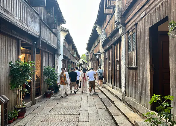 A bridge in Wuzhen town